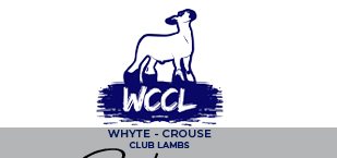 Whyte Club Lambs