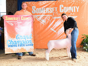 Whyte Club Lambs Winners